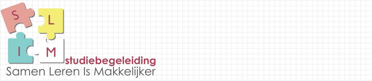 SLIM Studiebegeleiding